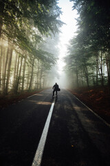 Wall Mural - unrecognizable man riding his bicycle at sunrise along empty asphalt road leading through the beautiful sunlit forest.