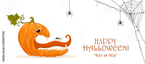 Fotografía Halloween Pumpkin with Spiders