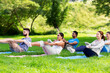 © Syda Productions - fitness, sport and healthy lifestyle concept - group of happy people doing yoga at summer park
