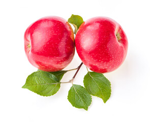 red apples isolated with leaves on white studio background