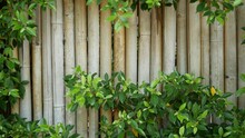 Bamboo Fence Surrounded By Lush Vegetation. Durable Bamboo Fence And Bright Green Bushes In Thailand. Natural Background. Juicy Exotic Tropical Leaves Texture Backdrop With Copyspace.