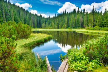  Wooden bridge in blue water at a forest lake with pine trees