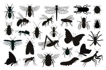 Wall Mural - Insects silhouettes set. Black stencils shapes of bugs, outline of creatures of science entomology, vector illustration contours of beetles isolated on white background