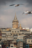 Fototapeta  - Cloudy Galata tower and seagulls in Beyoglu district of Istanbul, Turkey