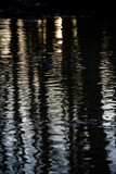 Fototapeta Kwiaty - Reflection city shadow abstract river