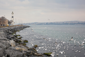 Sticker - Lighthouse on the shores of the Bosphorus. Sea and seagulls. Istanbul