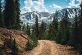 Colorado trail among the pine tree forest. Hiking and off road trail near the mountains. Summer outdoor activities.