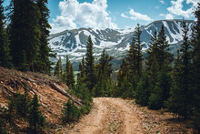 Colorado Trail Among The Pine Tree Forest. Hiking And Off Road Trail Near The Mountains. Summer Outdoor Activities.