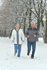 Poster - Happy senior couple walking at snowy winter park