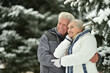 © aletia2011 - Happy senior couple hugging at snowy winter park