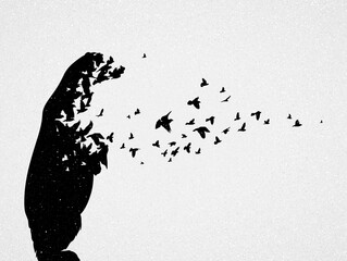 Poster - polar bear silhouette, flying birds. endangered animal. life and death. wildlife protection concept.