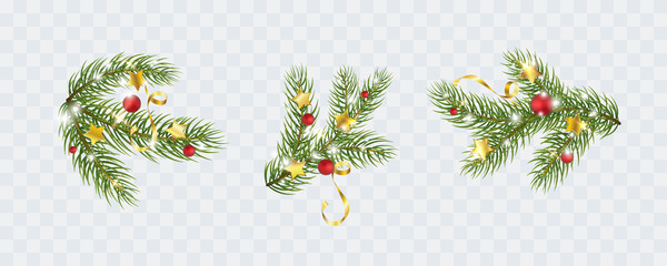 fir branches with gold stars, lights isolated on transparent background. pine, xmas evergreen plants