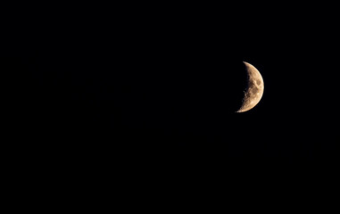 Wall Mural - New moon on a black night sky.