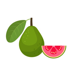 Wall Mural - Guava whole fruit with slice flat design