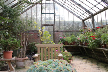 Beautiful glass greenhouse interior with wood structure and flower and vegetable beds around sides and seating area centre in late Summer day light with varieties of plants bushes  exotics stone floor