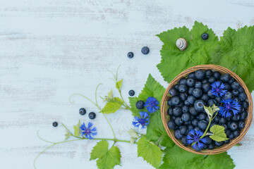 Wall Mural - Heap of fresh blueberries, flowers and leaves in a basket on a white wooden background. Healthy eating and diet food concept.