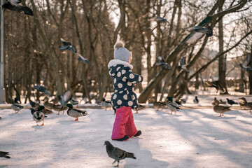 child feeds pigeons and ducks with bread in the yard on a sunny winter day. girl 4 years old on a walk backlight