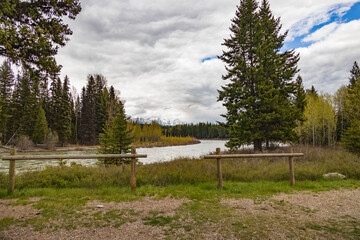 Wall Mural - North Fork Fathead River, Montana