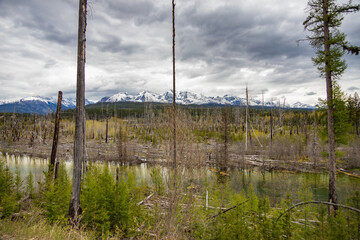 Wall Mural - Glacier National Park and mountain range 