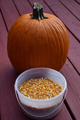 Sticker - Pumpkin and Corn