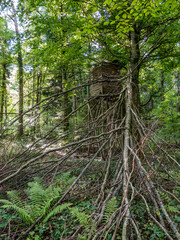 Wall Mural - Hochsitz am Waldrand