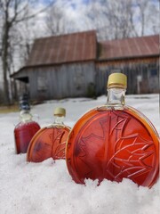 Maple syrup in the snow