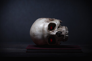 Still life of human skull that died for a long times ,concept of horror or thriller movies of scary crime scene ,Halloween theme, visual art