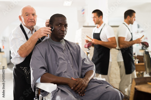 Cuadros en Lienzo African-American man getting haircut with clipper from professional skillful eld