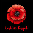 Remembrance day. Poppy with Lest we forget text. Armistice Remembrance and Anzac background. Flower illustration for world war memorial. 11th november poster. Canada, Australia banner with red poppy