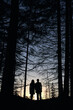 Silhouette of couple friends enjoying the sunset at forest. Rear view of guy and girl standing and holding hands. Romantic concept of relaxation