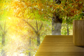 Canvas Print - Wooden table with a haunted forest view