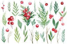 Christmas Set Of Watercolor Patterns On Isolated White Background, Branches, Leaves, Red Berries, Holly