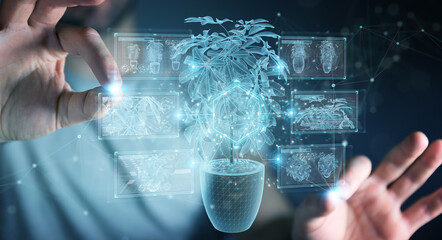 Fototapete - Man holding and touching holographic projection of a plant with digital analysis 3D rendering