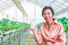 Asian Senior Woman Is Holding Milk For Calcium Food And Healthy Lifestyle Concept With Organic Farm Background.