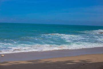 Natural background of seaside scenery (with coconut trees, boulders, sandy beach) and blurred sea waves.