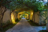 Fototapeta Dziecięca - Garden path in resort with warm light and trees on side at evening, Garden Decoration.