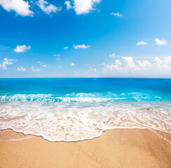 Wall Mural - beautiful beach and tropical sea