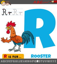 Letter R Worksheet With Cartoon Rooster