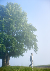 Wall Mural - Back view of spaceman in space suit walking away from tree in foggy morning leaving his guitar under the big old green tree