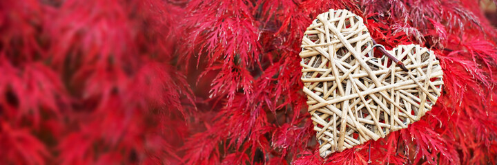 Wall Mural - Wooden heart on red maple leaves panoramic background. Fall web banner with copy space