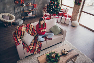 Canvas Print - Top above high angle full size photo of crazy girl sit couch read x-mas news on smartphone in house indoors with christmas tinsels