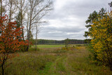 Fototapeta Las - Autumn fields and forests. Autumn field, yellowing foliage and forest in the distance