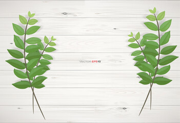 Sticker - Wood texture background with green leaves.  Vector illustration.