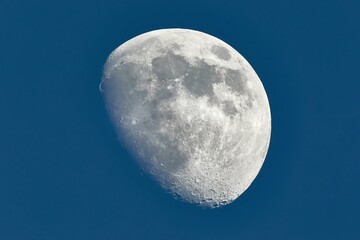 Wall Mural - the moon detailed shot in blue daylight sky, taken at 1600mm focal length, waxing gibbous phase, blu