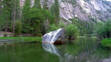 Mirror Lake In Yosemite National Park. Beautiful Nature Rock In Middle Of River By Forest With Pine Trees Outdoor Spring Season Time Green Plants Grass. Amazing View In California Wild America.