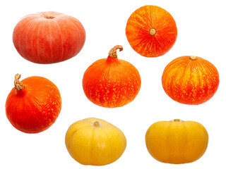 Poster - pumpkin isolated on a white background.