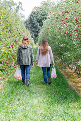 Poster - two young women walking down a row of apple trees