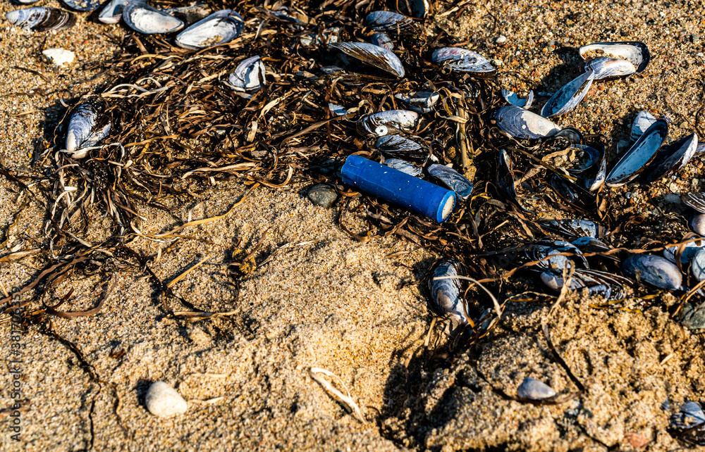 Old used shotgun shell from a hunter, floating on the beach among ...