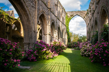  old monastery with ping flowers, brittany, france