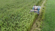 Aerial view of Hemp combine harvester collecting Cannabis sativa plants for Cbd production on a farm field.